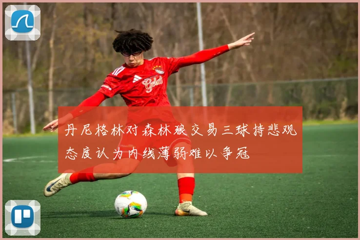 丹尼格林对森林狼交易三球持悲观态度认为内线薄弱难以争冠