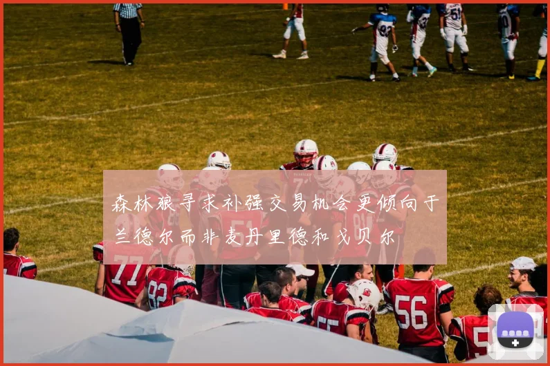 森林狼寻求补强交易机会更倾向于兰德尔而非麦丹里德和戈贝尔