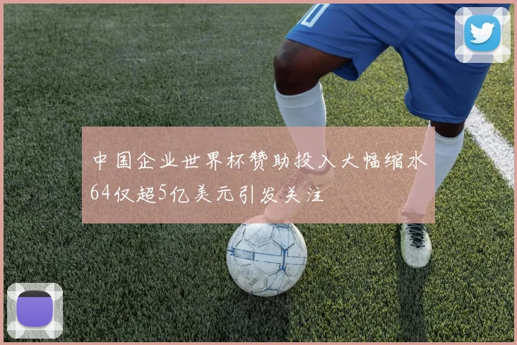 中国企业世界杯赞助投入大幅缩水64仅超5亿美元引发关注