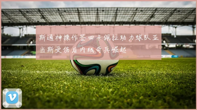 斯通神操作签回卡佩拉助力球队亚当斯受伤后内线奇兵崛起